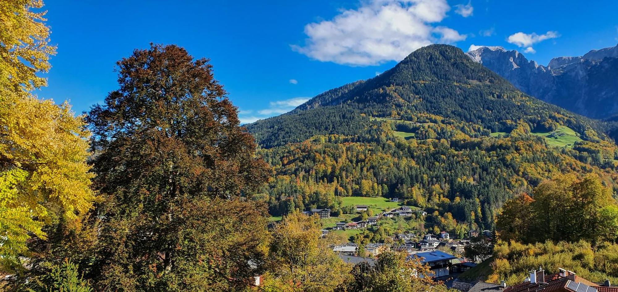 Haus Braun